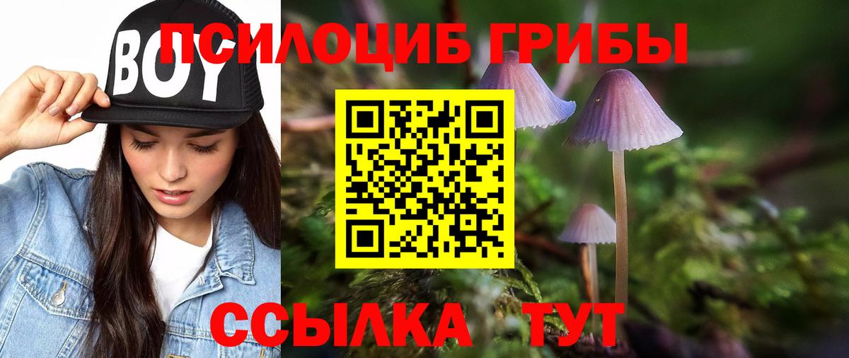 цена наркотик  Псилоцибиновые грибы прущие грибы  Реутов  Вход с VPN  Псилоцибиновые грибы Psilocybe 